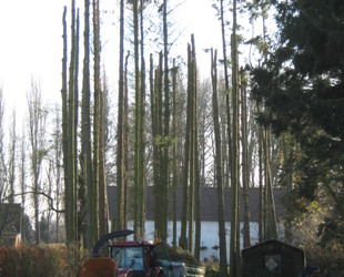 Jaume Michael Arboriste Grimpeur - Élagage et travaux forestiers Sous traitance Jaume Michael Arboriste Grimpeur - Élagage et travaux forestiers