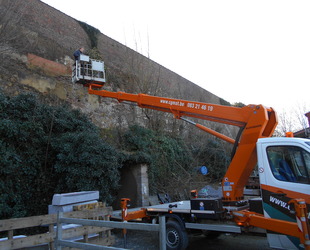 Jaume Michael Arboriste Grimpeur - Élagage et travaux forestiers Arrachage d'un lierre sur façade Jaume Michael Arboriste Grimpeur - Élagage et travaux forestiers