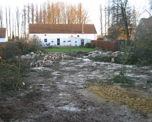 Jaume Michael Arboriste Grimpeur - Élagage et travaux forestiers