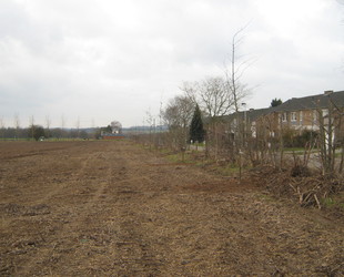 Jaume Michael Arboriste Grimpeur - Création et entretien de parcs et jardins