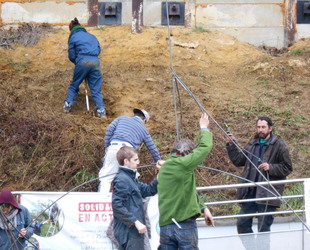 Jaume Michael Arboriste Grimpeur - Willow Concept - Création de structures végétales vivantes