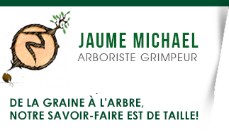 Jaume Michael Arboriste Grimpeur - Belgique - Arboriste - Grimpeur